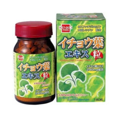 Viên uống bổ não Kenko Foods Ginkgo Leaf Extract Granules 180 viên Nhật